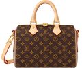 Speedy Bandoulière 25 Bag